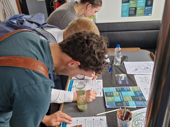 Informations- und Mitmachangebote des Projektes MV Seagrass for climate