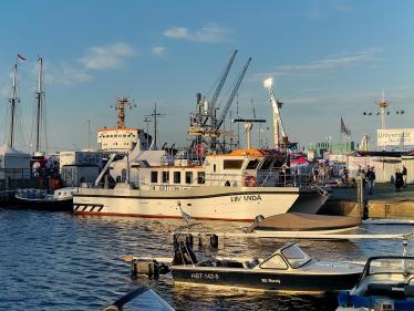 Science@Sail 2026: Einblicke in die Welt der Seegraswiesen in der Ostsee