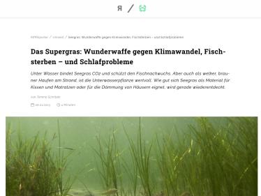 Das Supergras: Wunderwaffe gegen Klimawandel, Fischsterben – und Schlafprobleme