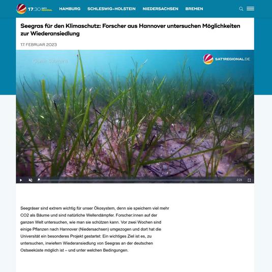 SAT.1: Seegras für den Klimaschutz