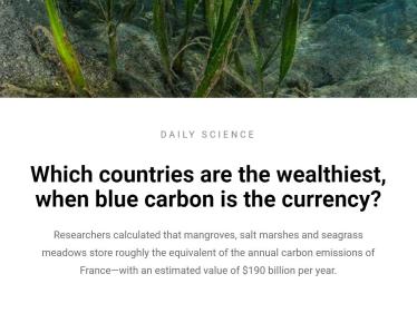 Which countries are the wealthiest, when blue carbon is the currency?