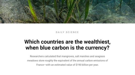 Which countries are the wealthiest, when blue carbon is the currency?