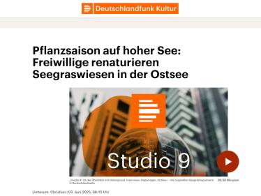 Deutschlandfunk: Pflanzsaison auf hoher See - Freiwillige renaturieren Seegraswiesen in der Ostsee