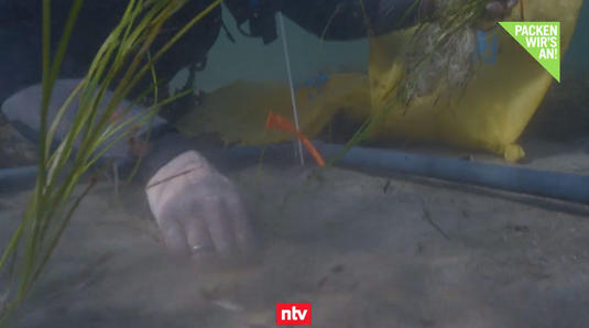 In den Meeren tickt die Uhr - und liegt Hoffnung