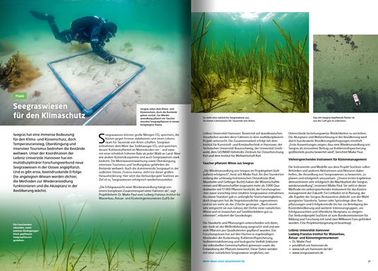 ti!-Magazin: Seegraswiesen für den Klimaschutz