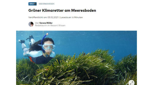 Grüner Klimaretter am Meeresboden