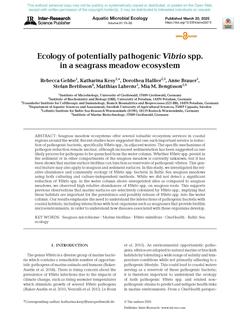 Aquat Microb Ecol: Ecology of potentially pathogenic Vibrio spp. in a seagrass meadow ecosystem