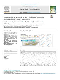 Science of The Total Environment - Enhancing seagrass restoration success Detecting and quantifying mechanisms of wave-induced dislodgement