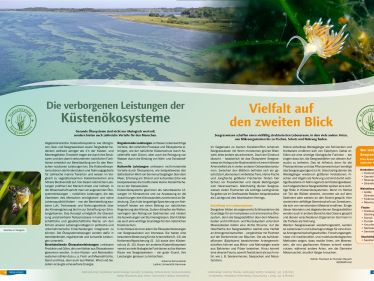 Magazin zu Seegraswiesen und Unterwasserhabitaten in der Ostsee veröffentlicht