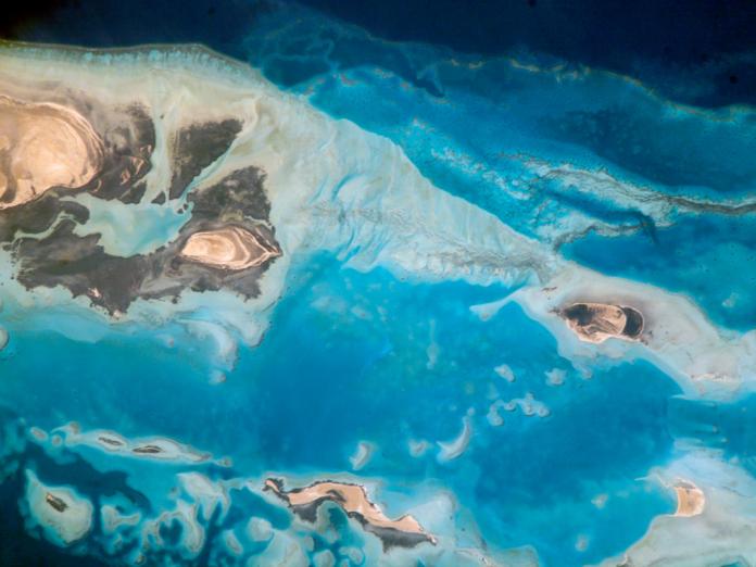 Wie leben Seegräser unter Wasser? Wo kommen sie vor? Welche Bedeutung haben Seegraswiesen für die Artenvielfalt und die Küsten? Und warum sind viele Bestände weltweit zurückgegangen? Diese Seite gibt einen Einblick in die Biologie und Ökologie von Seegräsern und zeigt, welche Bedingungen sie benötigen, um zu wachsen und langfristig bestehen zu können.